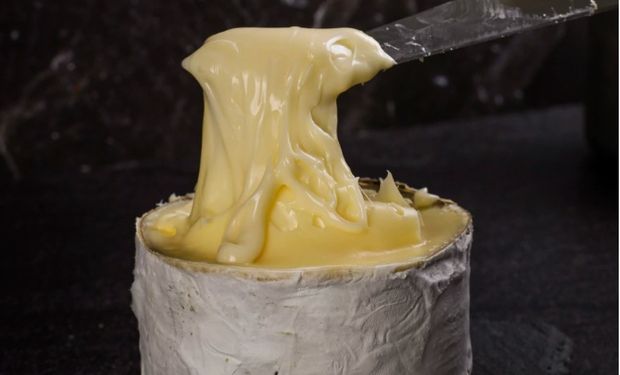 Queijo brasileiro Morro Azul é eleito um dos melhores do mundo em 2026