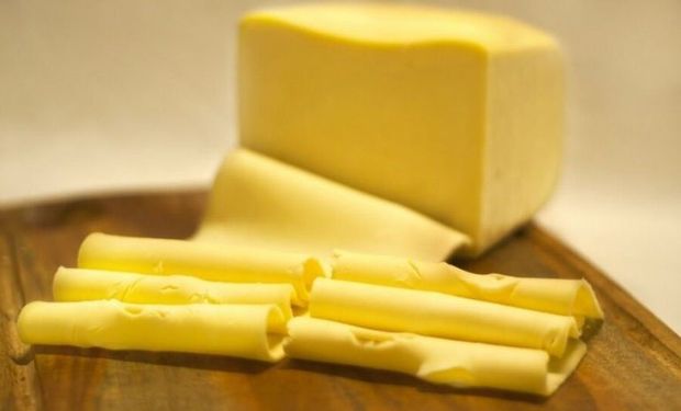 Projeto de lei quer anular isenção para importação de queijo muçarela