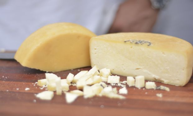 Com mais de 300 anos de história, o queijo é produzido com leite cru de vaca, sem pasteurização