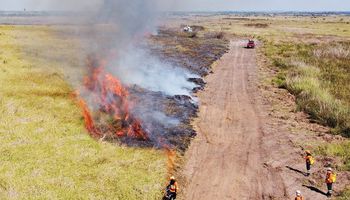 Mato Grosso do Sul decreta emergência ambiental devido ao tempo seco