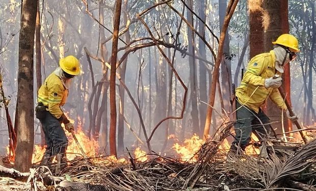 Cerca de 112 mil famílias, totalizando 451 mil pessoas, já foram afetadas pela seca dos rios e pelos incêndios.