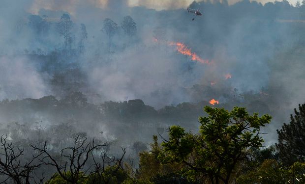Decreto suspende queimadas no Brasil