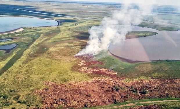 Nación presentó una propuesta para erradicar la quema de pastizales en el Delta del Paraná