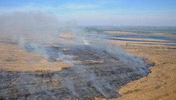 Para combatir el fuego en el Delta del Paraná, presentaron los primeros faros de conservación 