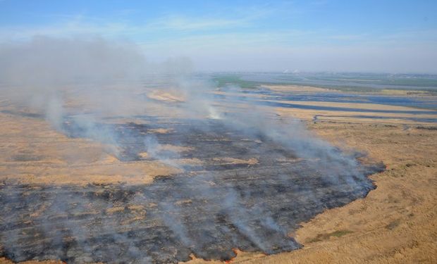 Para combatir el fuego en el Delta del Paraná, presentaron los primeros faros de conservación 