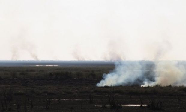 Columnas de humo en las islas del Río Paraná.