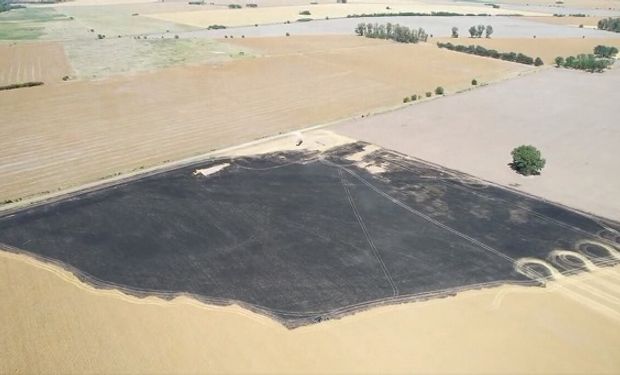 “Salen a quemar comida, dinero y trabajo”: la bronca de un productor que le prendieron fuego un lote de trigo