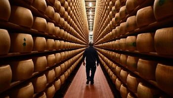 Un productor italiano murió aplastado por miles de quesos