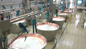 Aumentó el precio de los quesos en fábrica