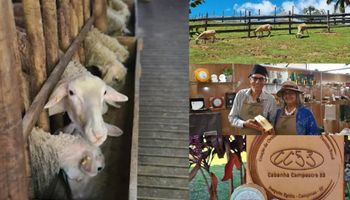 Sin ser del campo, la alergia de una de sus hijas los motivó a montar un establecimiento de leche de cabra: ya tienen 60 animales a los pocos años de haber comenzado