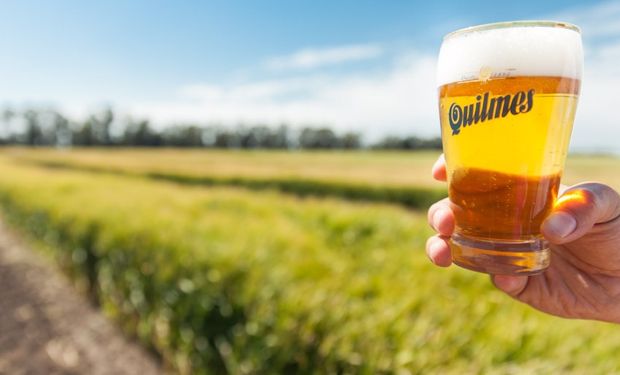 El récord de la agroindustria cervecera, en números: Argentina se consolida como el principal proveedor de cebada y malta de América del Sur