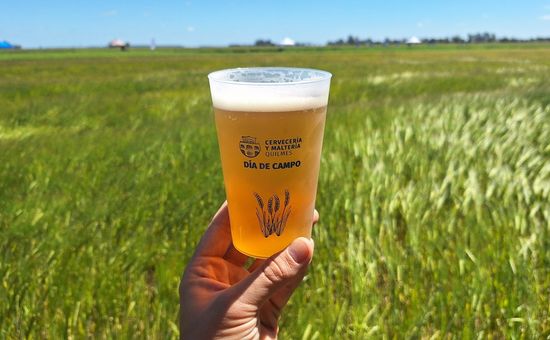 Cervecería y Maltería Quilmes compra cebada de unos 1200 productores y consolida a la Argentina como el principal proveedor de malta de la región
