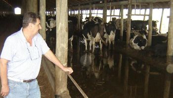 Un quincho en el tambo para el confort de las vacas