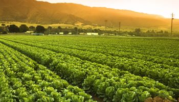 Embrapa e Jacto firmam parceria para levar agricultura de precisão a pequenos produtores
