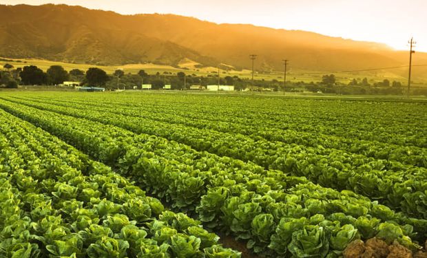 Embrapa e Jacto firmam parceria para levar agricultura de precisão a pequenos produtores