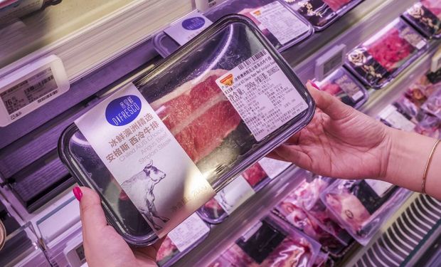 Los envíos al gigante asiático generaron casi 6 de cada 10 dólares facturados por exportaciones de carne vacuna.