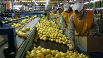 Semáforo de las Economías Regionales: 10 sectores productivos con signos de crisis