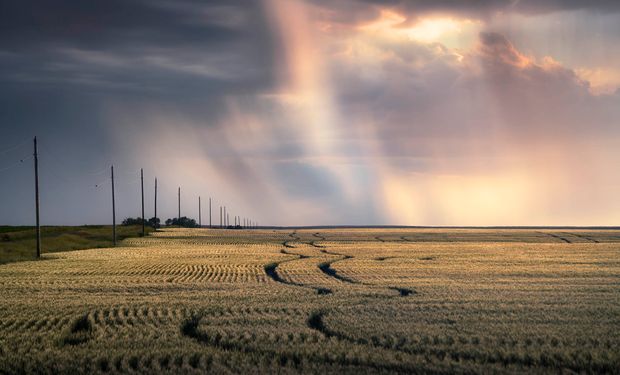 El importante cambio que se anticipa en el tiempo después de 45 días sin lluvias y un frío extremo