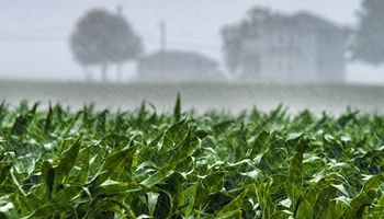 Llueve en gran parte de la zona núcleo