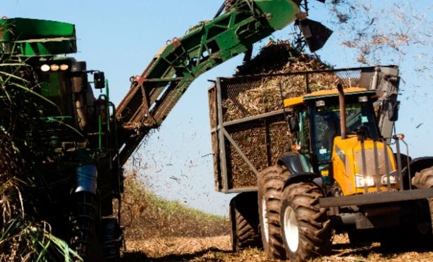 Raízen encerra safra 2024/25 com queda de 7% na moagem de cana