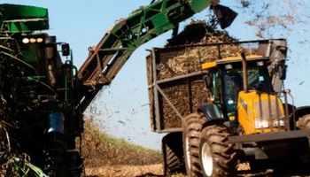 Raízen reduz moagem de cana no 3º trimestre da safra 2025/26