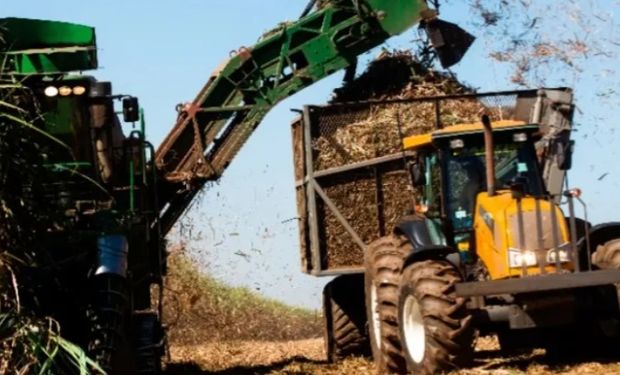 Raízen reduz moagem no 3º trimestre da safra 2025/26, mas eleva produtividade agrícola