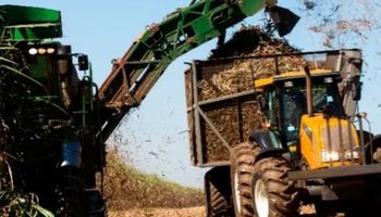 Raízen amplia moagem e produção de açúcar na safra 2025/26