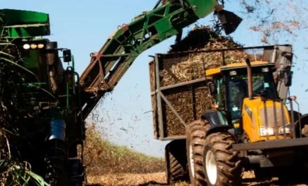 Raízen amplia moagem e produção de açúcar na safra 2025/26