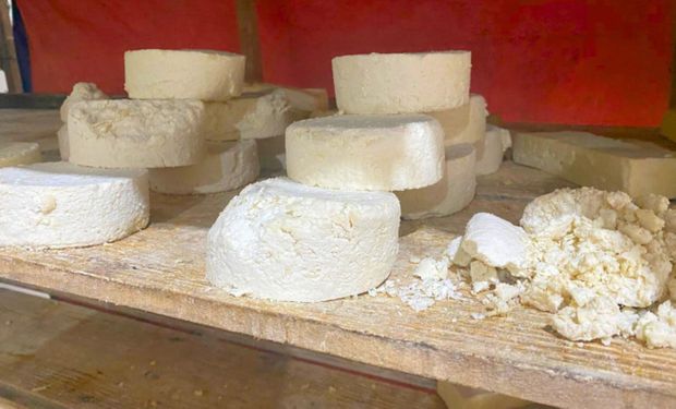 Operação apreende 20 toneladas de queijos mofados e vencidos em MG