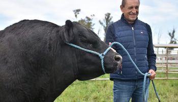 La Rioja expropió un campo de Ramón Díaz de casi 5000 hectáreas y el Gobierno de Milei lo respaldó: expectativa por un encuentro