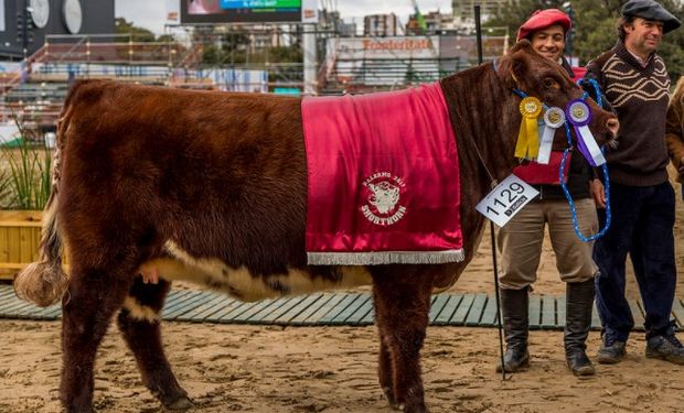 La raza tiene asistencia perfecta a la Exposición Rural.