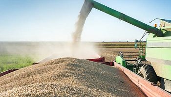El precio de la soja experimenta ganancias: cuánto se pagó en Rosario