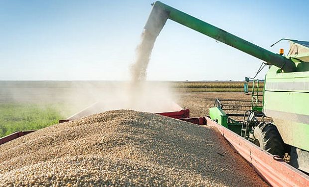 El precio de la soja experimenta ganancias: cuánto se pagó en Rosario