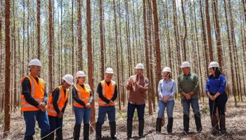 Novo reality do agro paga R$ 30 mil e mistura competição e vida real no campo
