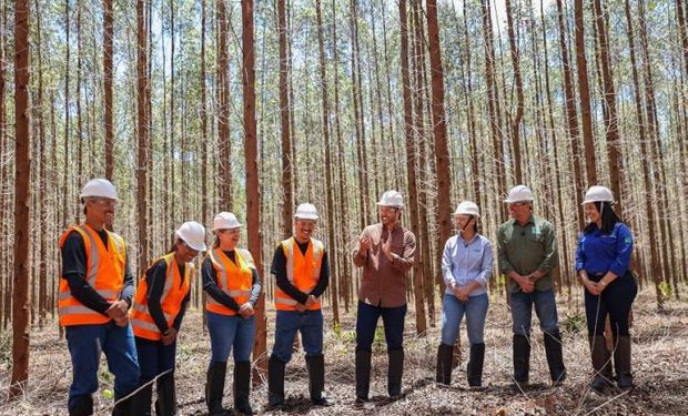 Novo reality do agro paga R$ 30 mil e mistura competição e vida real no campo