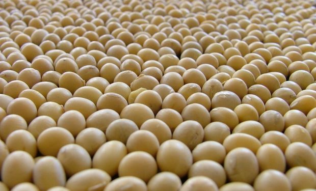 Deben completarla aquellos usuarios de semillas de soja, cuando superen el monto de facturación anual de tres veces el monto de la categoría más alta de monotributo.