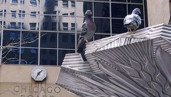 La soja logra recuperar algo de terreno en Chicago