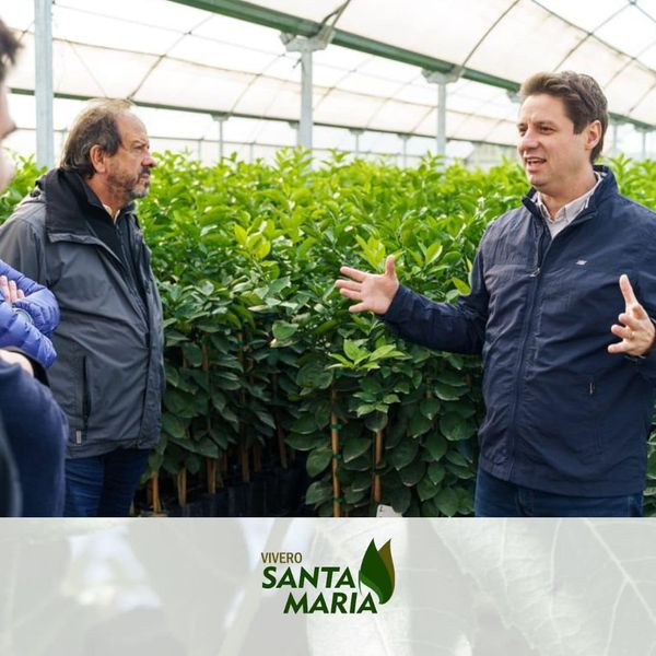 vivero santa maria