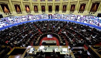 Diputados planteó al Senasa la falta de laboratorios, medidas para reducir el impacto ambiental y cobertura de vacantes