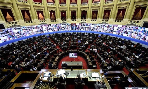 Diputados planteó al Senasa la falta de laboratorios, medidas para reducir el impacto ambiental y cobertura de vacantes