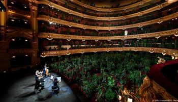 Las plantas como público: reabrió un teatro en Barcelona y dio un mensaje "sustentable"