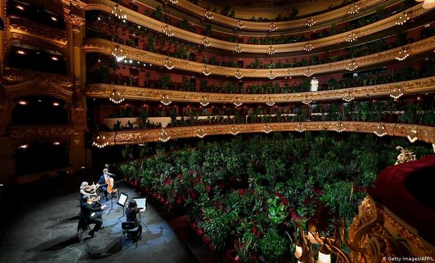 Las plantas como público: reabrió un teatro en Barcelona y dio un mensaje "sustentable"