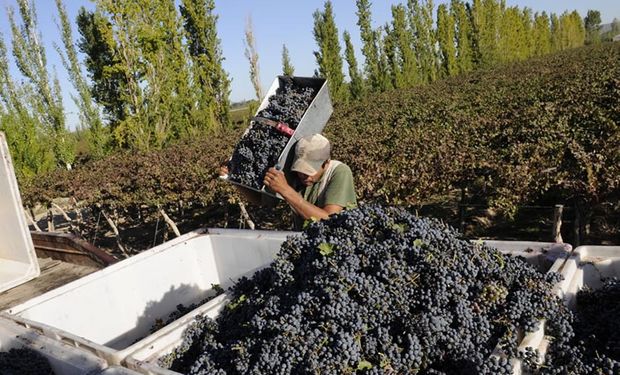 Representantes de 18 cámaras y asociaciones de la vitivinicultura lanzaron la convocatoria, a pocos días del comienzo de la cosecha 2015.