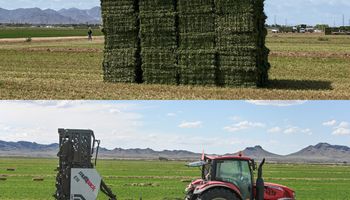 Disponible en Argentina: la máquina que agrupa hasta 14 fardos y automatiza una tarea clave de los sistemas ganaderos