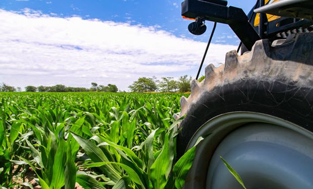 Con foco en la agronomía: la estrategia probada que le permite a la soja y al maíz aprovechar al máximo cada gota de agua