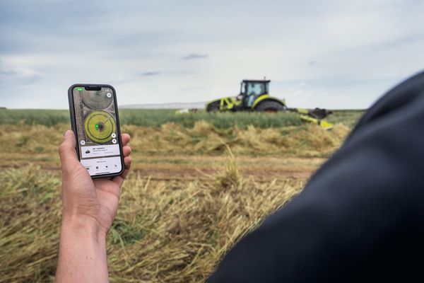 picadora claas record