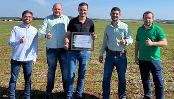 Produtor do PR colhe 270 sacas por hectare e vence concurso de produtividade de milho