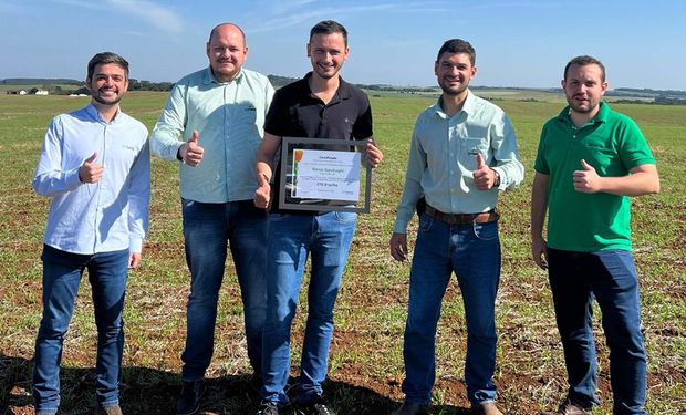 Produtor do PR colhe 270 sacas por hectare e vence concurso de produtividade de milho