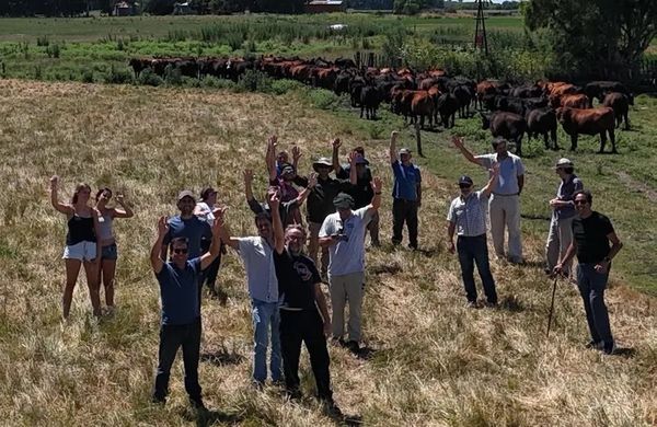 crea en el campo