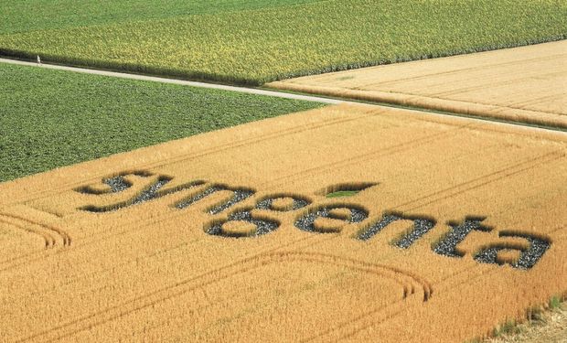 Syngenta invita a las instituciones interesadas en la temática a presentar propuestas creativas enfocados en la recuperación de más tierras para cultivos. Foto: Agroagencia.